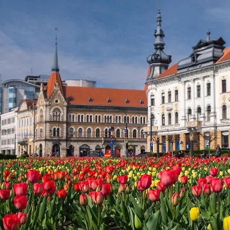 Pretty Luxury Apartament's *