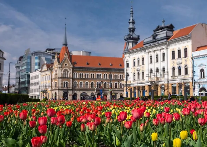 Pretty Luxury Apartament's *