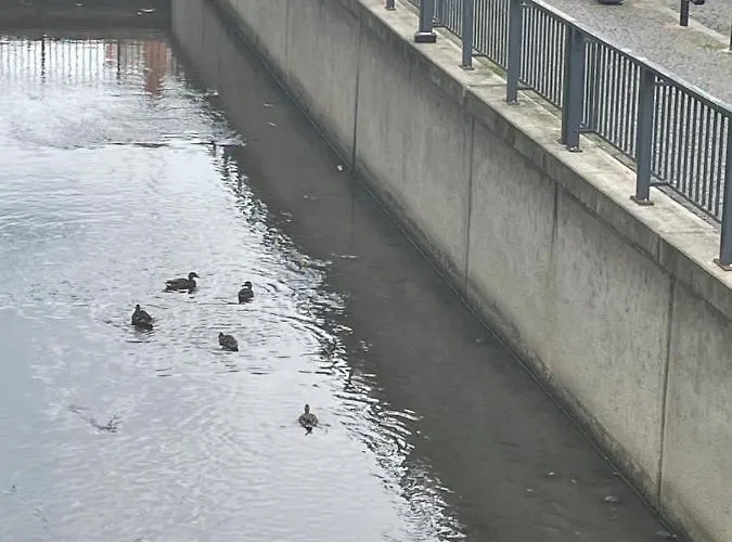 Pretty Luxury Apartament's Appartement